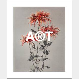 Chrysanthemum still life vintage flowers Posters and Art